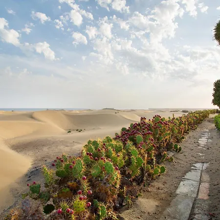 Dunas * Maspalomas (Gran Canaria)