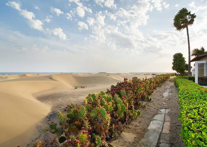 Dunas * Maspalomas (Gran Canaria)