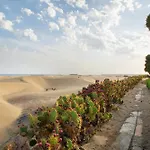 Dunas * מספאלומס